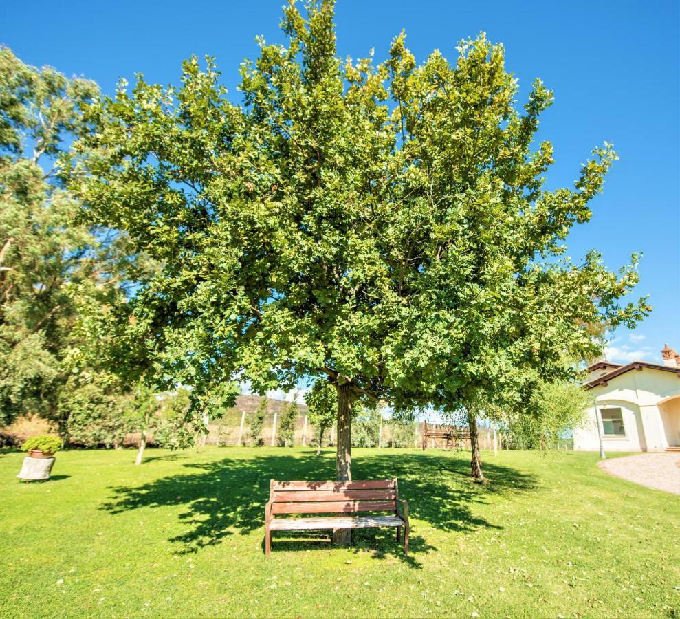 Villa Gli Eucalipti 체르베떼리 외부 사진